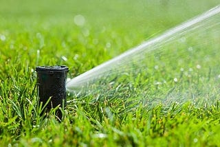 Professionally Installed Sprinkler System — Love Irrigation