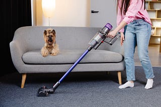 The Professor Buys a Dyson