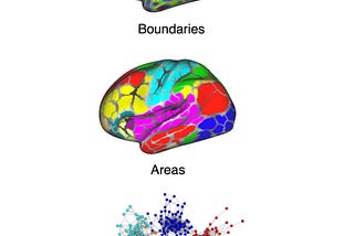 Redes Complejas en el cerebro humano, parte 2: Tipos de redes cerebrales con resonancia magnética.