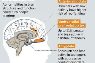 Sunlight and Criminal Mindedness