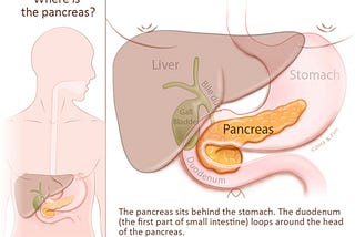 Pancreas and Acute Pancreatitis