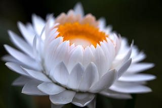 How to Meditate Every Day