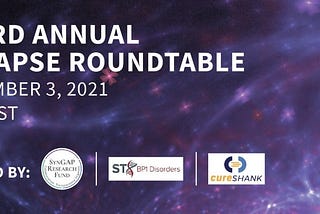 Third Annual Synapse Roundtable: Collaboration at Its Finest