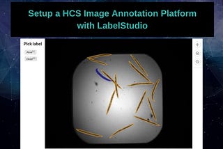 Setup a High Content Screening Imaging Platform with Label Studio