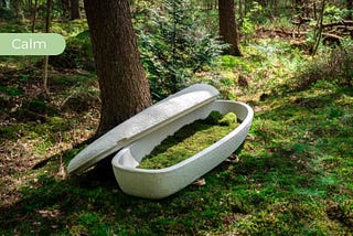 Should everyone have the right to choose alternative Biodegradable coffins that are environmentally…