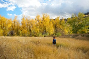 Explore The Cariboo