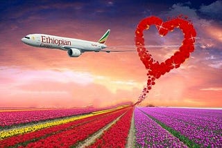 Ethiopian Airlines carries over 95 mn stems of flowers from Nairobi, Addis Ababa