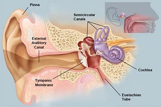 My Journey with Eustachian Tube Dysfunction and Hearing Loss