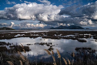 Coastline cruising: The nexus of science, society, and climate change