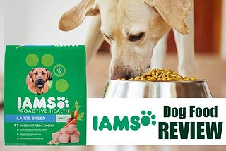 IAMS Dog Food Reviews — Puppy Food Pros and Cons