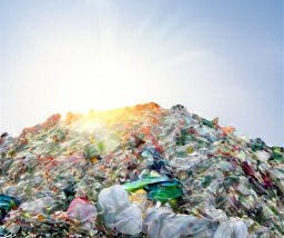 Plastic Recycling: Can Regulation Transform Waste into a Commodity?