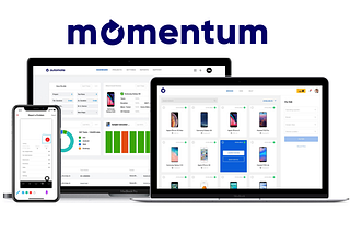 MOMENTUMSUITE FOR BEGINNERS