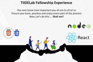 My TIIDELab Cohort 4 Fellowship Experience 4.0