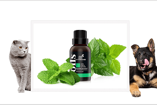 Is Peppermint Essential Oil Safe for Cats and Dogs?