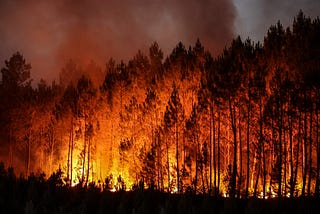 Predicting Wildfires with Geospatial Data