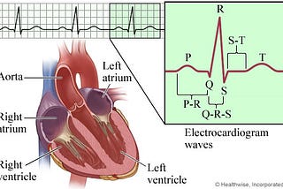 Lipid Profile and ECG Relationship: Course of Heart Failure Risk