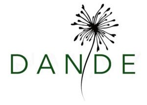 Why we changed our e-commerce platform name from Wishmay to Dande.