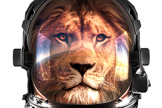 Ingonyama Seed Funding Announcement