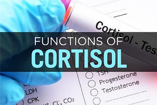 What to Know about High Cortisol Levels & the Endocrine System