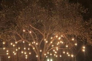City to unveil year-round lighting in Paso Robles Downtown City Park 