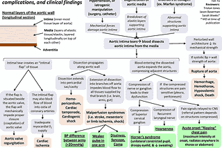 Aortic Dissection — Pathogenesis, Complications and Clincal Findings