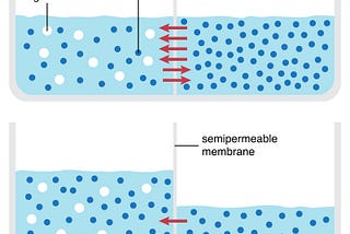 An Introduction to Osmosis, Reverse Osmosis, and Water Filtration Systems