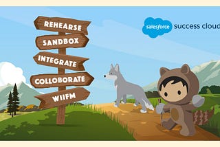 5 Pro Tips for Salesforce Developers