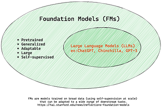 Essential Guide to Foundation Models and Large Language Models