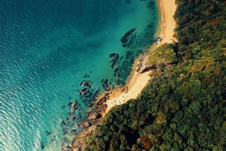 The Ultimate Guide to a Green Island Half-Day Tour from Cairns