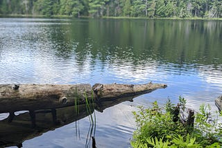 A landscape photo of a log sitting in a calm lake.