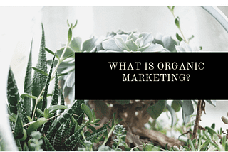 What the heck is Organic Marketing?