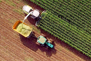 O agronegócio brasileiro e a indústria da tradução