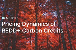 Data ReFined #49: Pricing Dynamics of REDD+ Carbon Credits