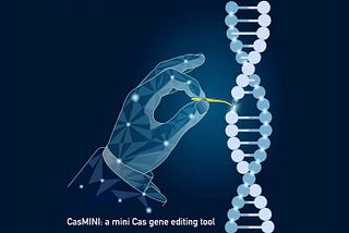 Researchers develop ‘CasMINI’: a miniature version of the CRISPR tool