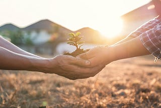5 Ways Gardening Can Help the World