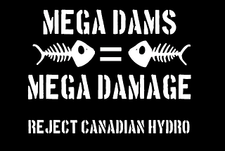 Not Clean, Not Green: Proposed CMP Corridor/NECEC An Environmental Disaster From Beginning To End