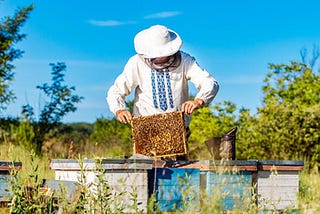 Tips for Becoming a Good Beekeeper