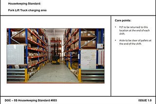visual standards