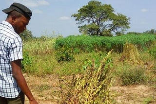 Ezekiel Owolabi is an agriculturist in southern Nigeria who graduated with a degree in agriculture…