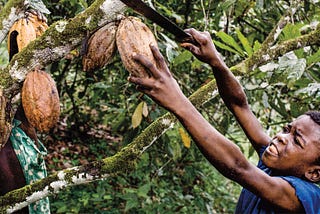 Child Slavery and the Chocolate Industry