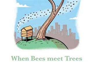 🌿 Swarming to collaboration: finding the permission to belong