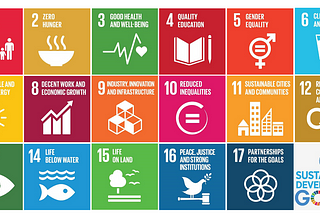 The Sustainable Development Goals: Good or Bad?