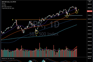 2021/02/26 S&P500, NASDAQ