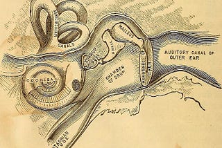 Your Phone’s Ringing, Can’t You Hear It?