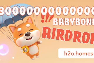 Winners for H2O DAO BabyBonk