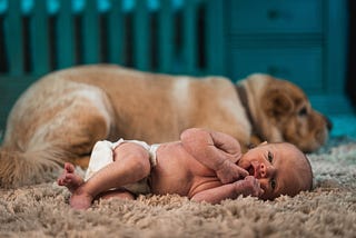 Baby + dog — a match made in heaven?