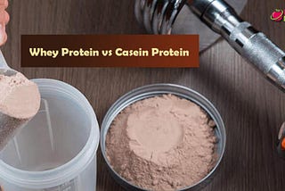 Whey Protein vs Casein Protein