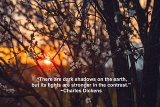 Taking Its Toll On Everyone…See The Light in the Shadows and Keep Reading — Lori Josephson