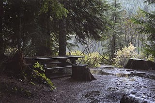 Branching Out — The Tree Picnic Table