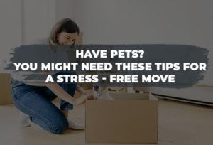 Have pets? You might need these tips for a stress- free move